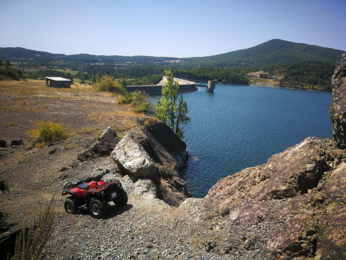 "Porodica Markovic" Borsko Jezero Beljevina Exterior photo