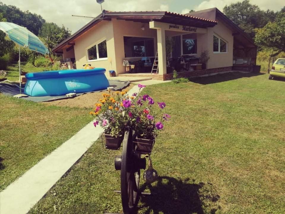 "Porodica Markovic" Borsko Jezero Beljevina Exterior photo